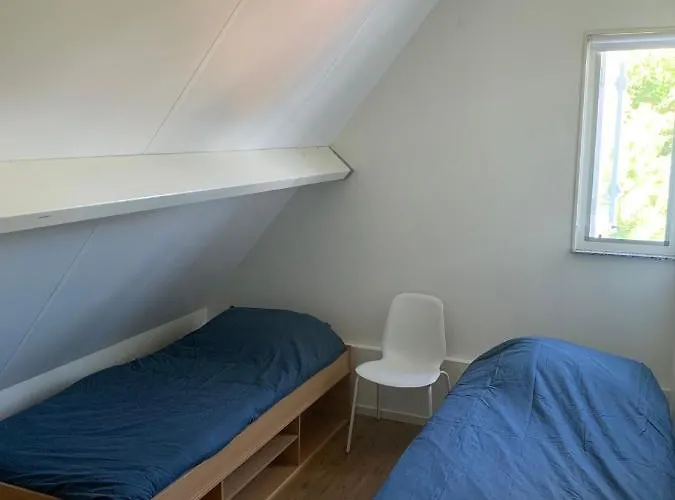 Koolweg42 * 奥德多普